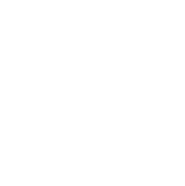 logo-alt